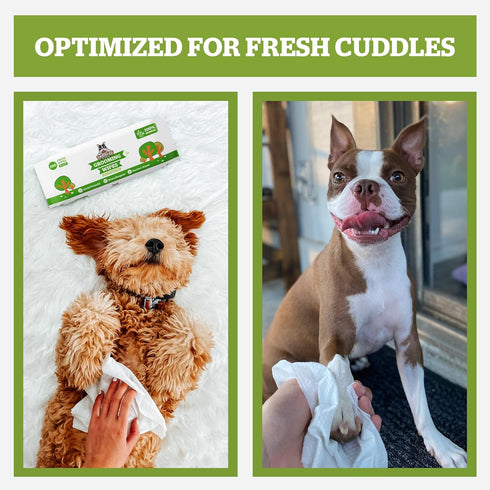 Pogi's Dog Grooming Wipes Travel Packs - 120 Hypoallergenic Wipes for Cleaning & Deodorizing Dogs, Green Tea Scent