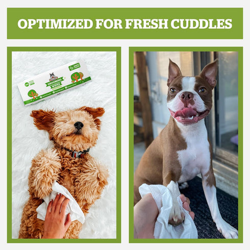 Pogi's Dog Grooming Wipes, 100 Plant-Based, Hypoallergenic Wipes for Cleaning and Deodorizing