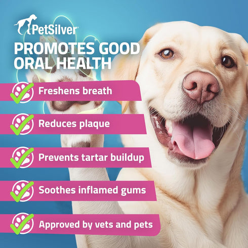 PetSilver Teeth & Gum Spray for Dogs and Cats, Natural Breath Freshener, 4 oz