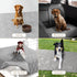 Moonsea Couch Cover for Dogs, Washable Waterproof Dog Blanket, Antislip Bed Cover for Pet Sofa Furniture, 30" X 70"