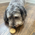 Exclusively Dog Cookies Sandwich Cremes, Vanilla Flavor Dog Treats for Medium and Large Dogs, 8 oz, Natural, Made in USA