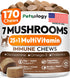Turkey Tail Mushroom for Dogs - 170 Chews - Lions Mane -