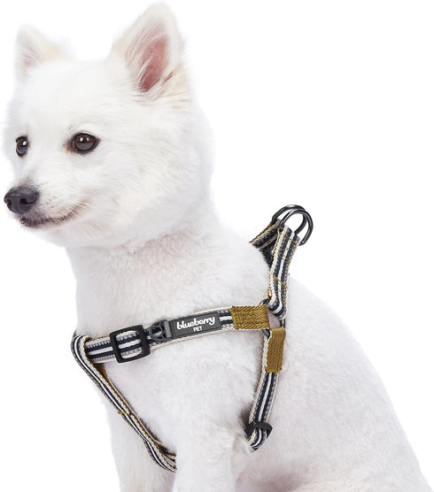Blueberry Pet 5 Colors Step-in 3M Reflective Multi-Colored Stripe Padded Dog Harness, Small, Olive & Blue-Gray