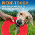 Nerf Dog Atomic Flyer Outdoor Dog Toy, 10 Inch Flying Disc for Medium and Large Dogs, Red