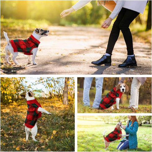 QBLEEV Dog Christmas Sweater for Small Dogs, Warm Knitwear Pullover Holiday Sweaters for Girls Boys XS