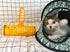 Pet Hair Remover Roller - Self Cleaning Lint Roller for Dog & Cat Hair, Orange, Removes Hair from Furniture