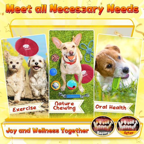 KIPRITII 25 Pack Puppy Dog Toys for Teething, Entertainment & Interaction, Chew Toys with Rope, Treat Balls & Squeaky
