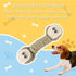 Sharp Teeth Challenger Series 9 Pack Heavy Duty Dog Toys - Indestructible Chew Toys for Large Medium Dogs