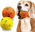 2 Pack Indestructible Dog Tennis Balls, Durable Bouncy Toy Balls for Aggressive Chewers, Interactive Fetch Water Toys