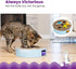 Interactive Cat Puzzle Toy with Scratchable Corrugate - Engages Your Cat's Hunting Instincts
