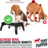 Tuff Pupper Elevated Dog Bowl - Single Raised Bowl Holds 80oz/12cups Food/Water, Collapsible Travel Bowl for Easy