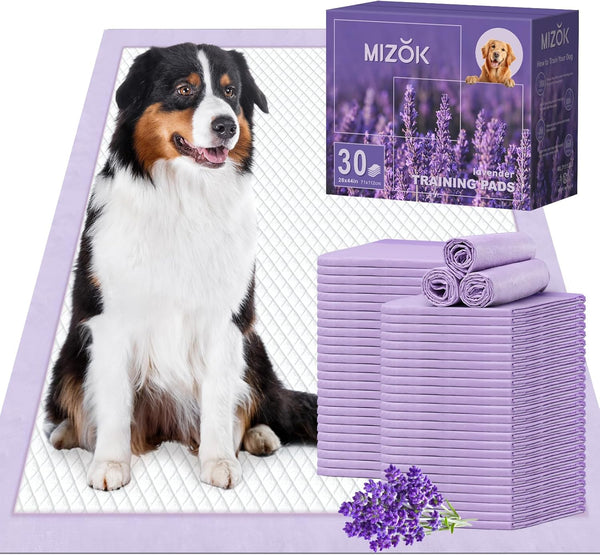 MIZOK Dog Pads Extra Large 28x44in, XXL Potty Pads for Dogs, Keeps