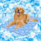 Rywell Dog Cooling Mat 2.0 - 44 * 32 Thicken Cooling Mat for Extra Large Dog, Waterproof Color Changing Fiber