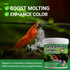 100G, Salty Shrimp GH/KH+ Keep Your Shrimp Alive, Boost Breeding Healthy & Remineralize RO Water, The Shrimpies Stopped