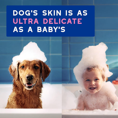 16 oz, DOUXO Skin & Coat SPA - Ultra-Safe Sensitive Skin Soothing Shampoo, fl Skin-Friendly Formula Cleans and Soothes