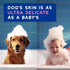 16 oz, DOUXO Skin & Coat SPA - Ultra-Safe Sensitive Skin Soothing Shampoo, fl Skin-Friendly Formula Cleans and Soothes