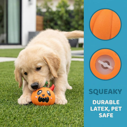 Set, 4 Pack Squeaky Pet Toys Natural Latex Rubber, Interactive Vegetable Shape with Cute Faces, for Large Medium Small
