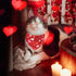 Valentines Dog Bandana, Holiday Cat Bandana Heart, 2 Pack Scarfs for Small Medium Large Pets