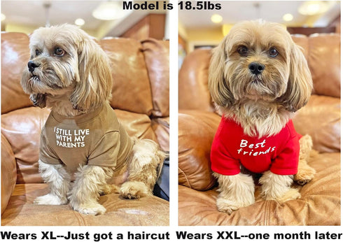 Cute Dog Clothes - Red Dog T Shirt for Medium Dogs, Small Dogs, Puppy, Breathable Soft Pet Pullover Jumper, Cat Clothes