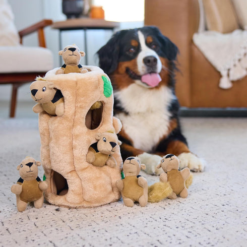 2in1 6 Outward Hound Hide-A-Squirrel Dog Toy Interactive Plush Puzzle with Squeaky Removable Squirrels, X-Large