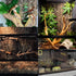Tfwadmx 2Pcs Terrarium Cork Bark Background, 11.8"x11.8" Thickened Reptile Tank Tree Backdrop Wall Decor for Lizard,