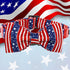 Elegant little tail Independence Day Dog Collar - Adjustable Holiday Pet Collar with Bow for Medium Dogs