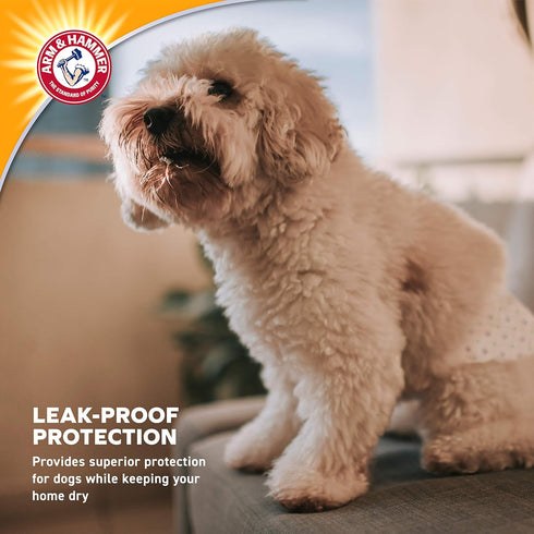 Arm & Hammer for Pets Female Dog Diapers, Size Small, Ultra-Absorbent, Adjustable, Leak-Proof (Pack of 6)
