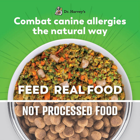 Dr. Harvey's Specialty Diet Allergy Salmon Recipe, Human Grade Dog Food for Dogs with Sensitivities, Trial Size (5.5 Oz)