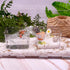 U0U 2 Pack Hermit Crab Water Tank,Hermit Crab Accessories Hermit Crabs Cage with Climbing Ramps,Acrylic Hermit Salt