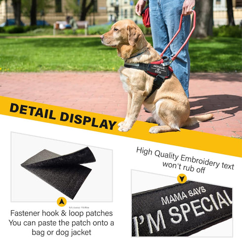 Service Dog Patches Set, 10 Pack Removable Dog Vest Patches for Harness, In Training