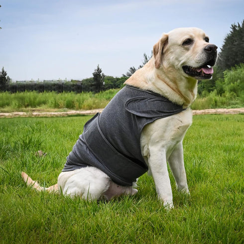 Dog Calming Shirt for Anxiety - Skin-Friendly Coat for Thunder, Fireworks, and Separation (Dark Brown, M) - Keep Pet
