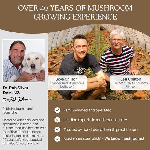 Wellbeing 120 Count Real Mushrooms Lions Mane Pet Mushroom Supplement Pet Capsules for Cat & Dog Supplement & Vitamins