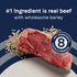 CANIDAE Pure Adult Dry Dog Food with Wholesome Grains, Real Beef & Barley Recipe, 4 lbs.