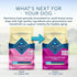 4-lb (Pack 2) Blue Buffalo Life Protection Formula Natural Adult Toy Breed Dry Dog Food, Chicken and Brown Rice