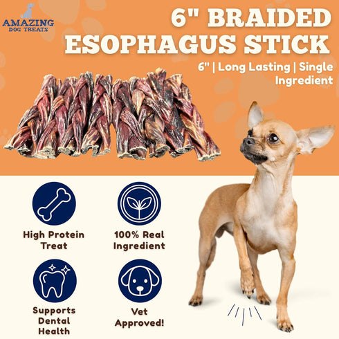 6 Inch (4 Pc/Pack) Amazing Dog Treats - Braided Gullet Stick - Dog Jerky Treats - Beef Esophagus -Gullet for Dogs