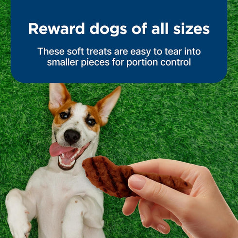 16-oz Blue Buffalo Nudges Grillers Natural Dog Treats, Made in the USA with Real Steak, Bag
