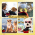 Valentines Dog Wedding Toy Engagement Plush Ring Box for Dog Birthday Gifts, Funny Plush Toys Squeaky Chew for Party