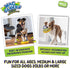 Wag Glider Deluxe Dog Toy - Sliding Gliding Toy with Built-in Squeaker & Rope for Medium & Large Dogs - Safe for Indoor