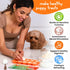 Premium Puppy Starter Kit - New Puppy Gift Basket with Essentials, Toy Box, Treat Tray, Training Supplies, Chew
