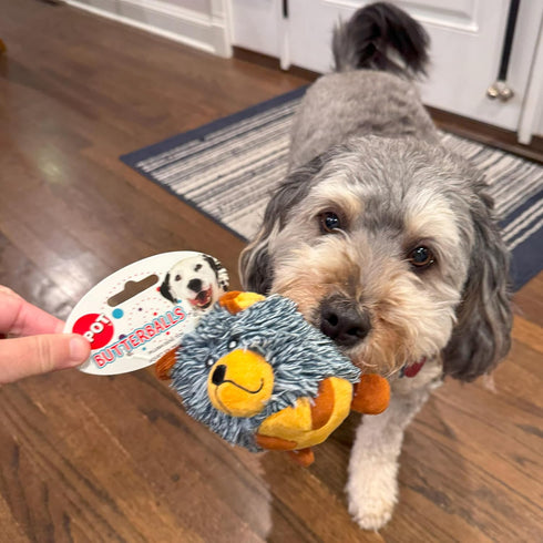 SPOT 4in, 1 Butterballs Forest Animals Dog Toy-Soft, Stuffed, Squeaky, Plush Fabric Toy for Mini and Small Dogs