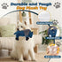 Auvitaya Squeaky Dog Puppy Toys, Stuffed Plush Animal to Keep Them Busy for Small Medium Large Dogs & Aggressive