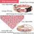 Pettsie Adjustable Dog Bandana Collar with Matching Friendship Bracelet, Soft & Comfortable Durable Hemp, Pink, Small