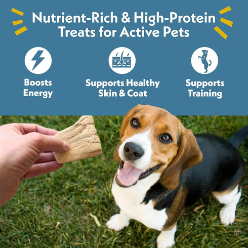 Fresh Is Best Salmon Fillets Freeze Dried Dog Treats Raw Freeze Dried Fish for Cats & Canines in Resealable Zipper Bag