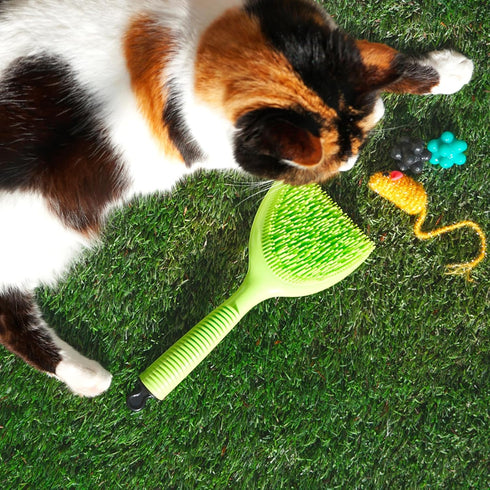 Michel Mercier Pet Detangling Brush for Fine or Normal Fur - Grooming and Deshedding Brush for Cats and Dogs