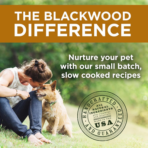 Blackwood Sensitive Skin & Stomach Dry Dog Food, Lamb Meal & Brown Rice, 10 lb Bag with Prebiotics & Probiotics