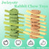 Jwizyotr 2 Chinchillas Rabbit Chew Toys for Teeth PCS Guinea Pig Chews Treats Rat Cage Accessories with Papaya Stems