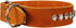 Thick Genuine Leather Spiked Studded Dog Collar - Brown, Fits 18"-22" Neck for Retriever, Doberman, Rottweiler, Pitbull