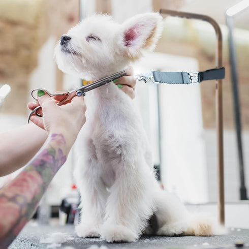 Grooming Arm Accessory