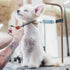 Grooming Arm Accessory