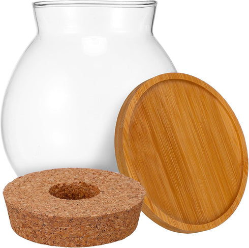 POPETPOP Clear Glass Desktop Fish Bowl with Wood Lid and Bamboo Stand, Hydroponic Planter Vase